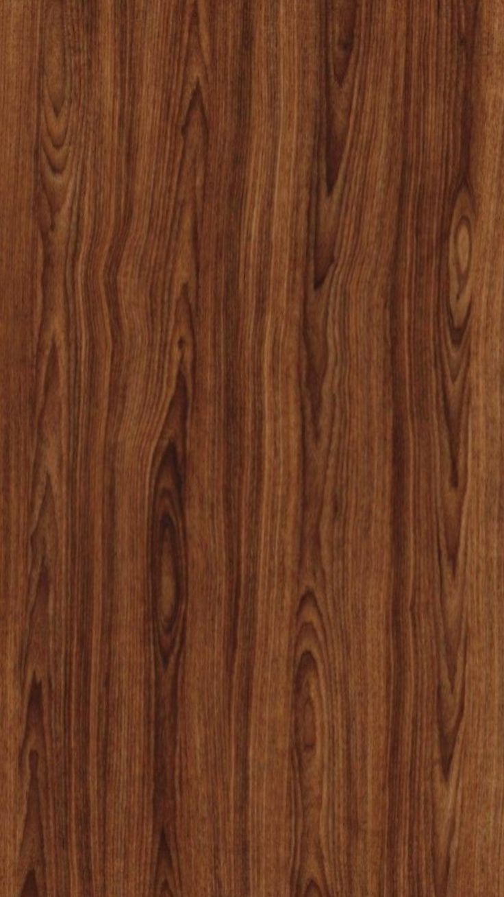 Dark Wood
